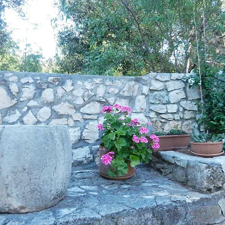 Pulic Apartment